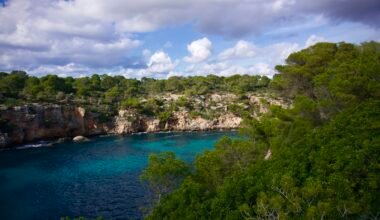 Grüne Bäume nahe dem blauen Meer unter Himmel mit Wolken auf Mallorca, aufgenommen von Carlos Coronado