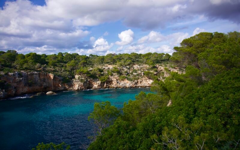 Grüne Bäume nahe dem blauen Meer unter Himmel mit weißen Wolken auf Mallorca, aufgenommen von Carlos Coronado
