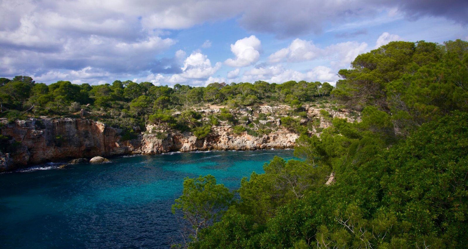 Grüne Bäume am blauen Meer unter Himmel mit weißen Wolken auf Mallorca, aufgenommen von Carlos Coronado