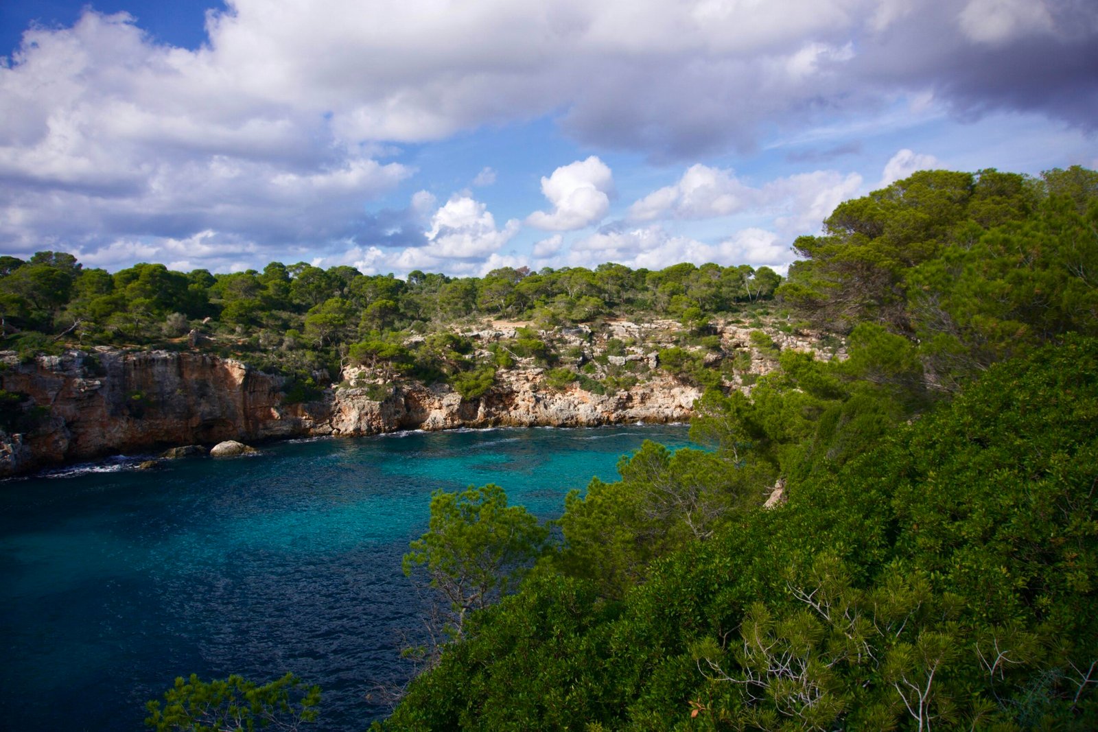 Grüne Bäume am blauen Meer unter Himmel mit weißen Wolken auf Mallorca, aufgenommen von Carlos Coronado