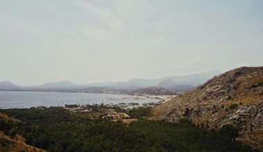 Grüne Bäume nahe den Bergen und dem Meer auf Mallorca bei Tageslicht, aufgenommen von Oscar Nord.