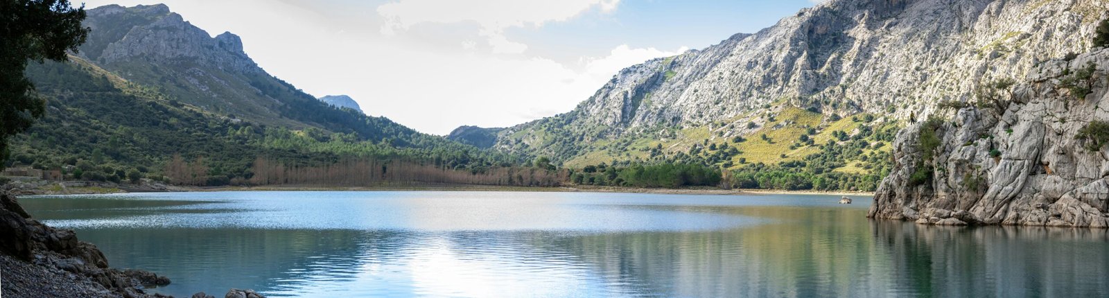 Grüne Bäume am Ufer eines Gewässers auf Mallorca bei Tageslicht, aufgenommen von David Vives