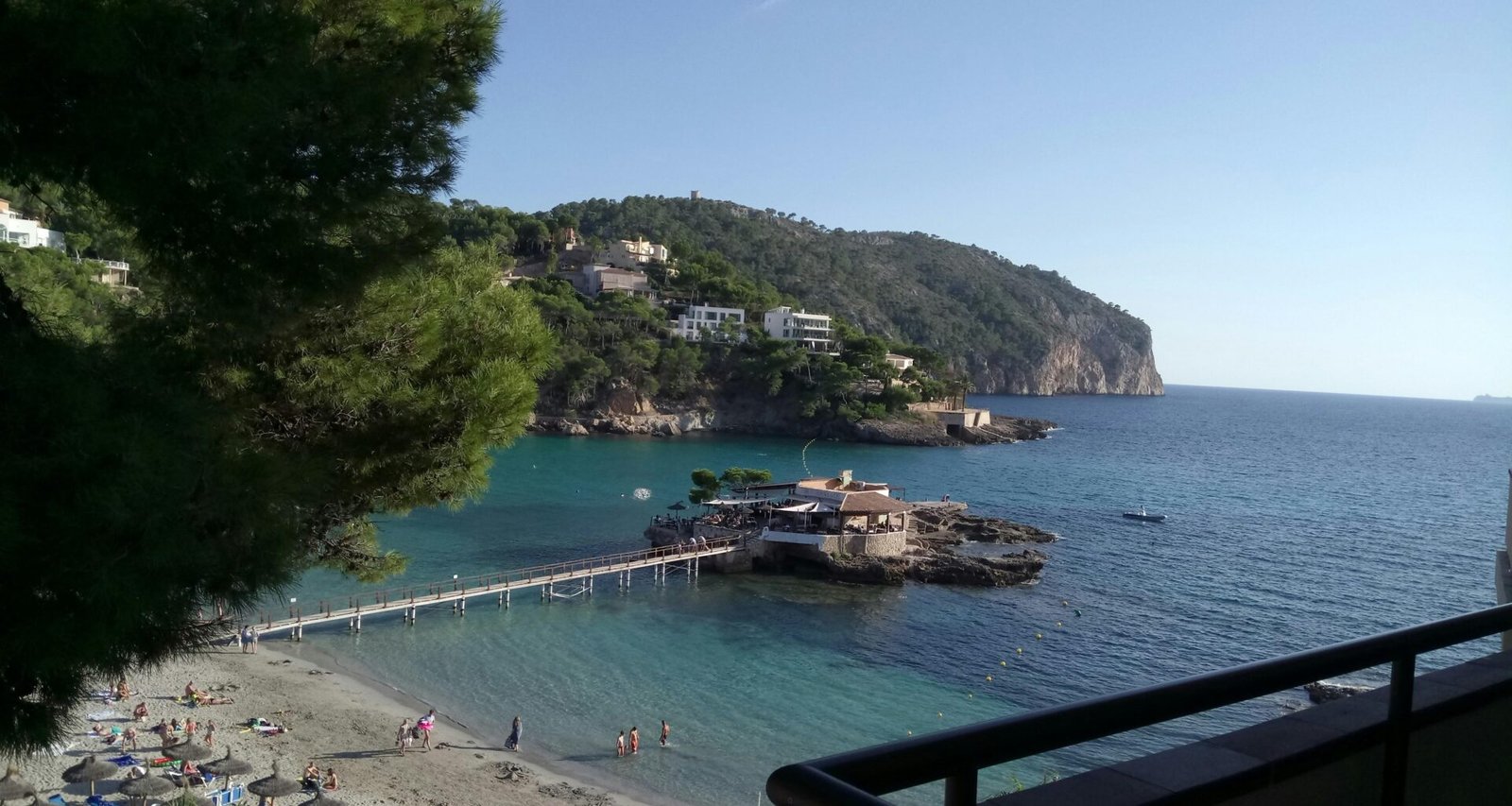 Grüne Bäume nahe eines Gewässers während des Tages auf Mallorca, fotografiert von Mitchell Guy