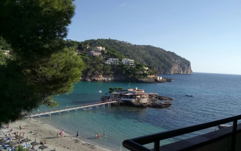 Grüne Bäume nahe eines Gewässers während des Tages auf Mallorca, fotografiert von Mitchell Guy