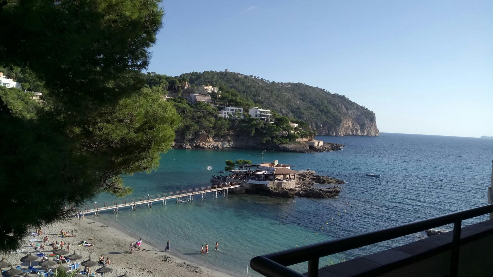 Grüne Bäume nahe eines Gewässers während des Tages auf Mallorca, fotografiert von Mitchell Guy