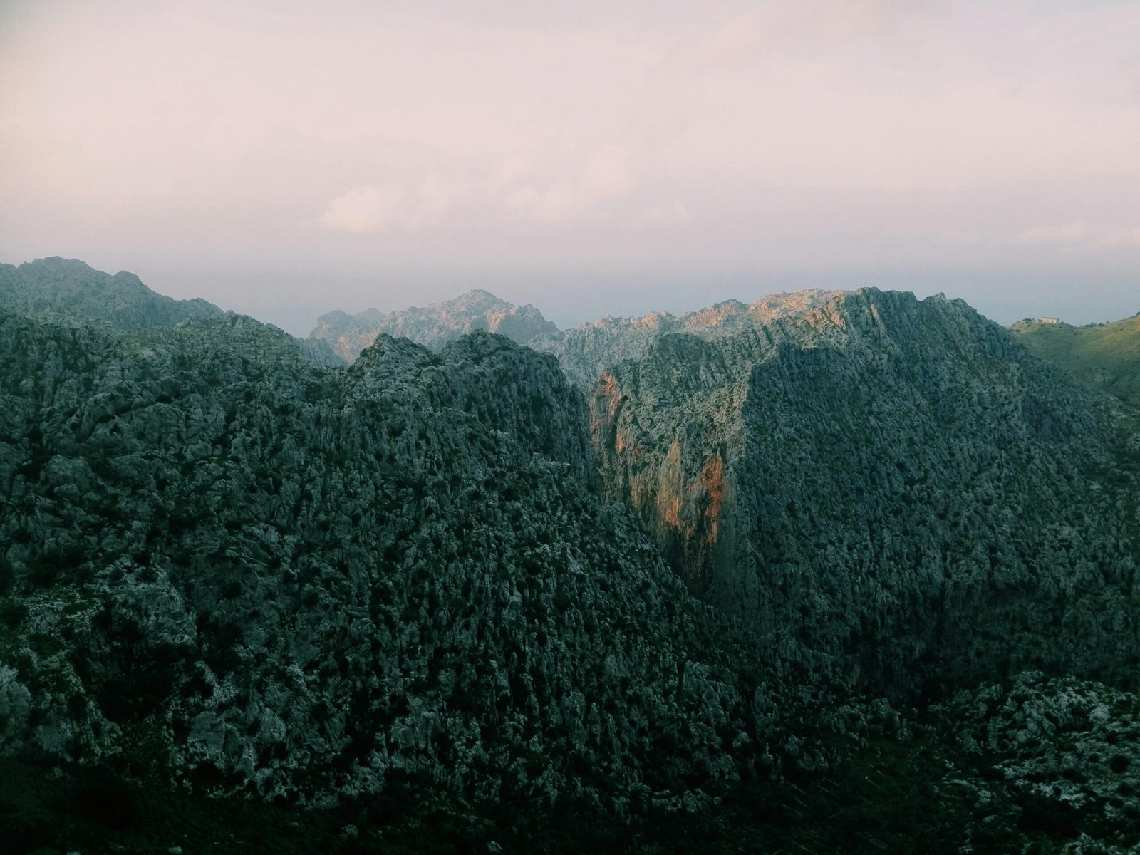 Grüne Berge während des Tages auf Mallorca mit klarer Sicht und sanften Hügeln, fotografiert von Rosan Harmens.
