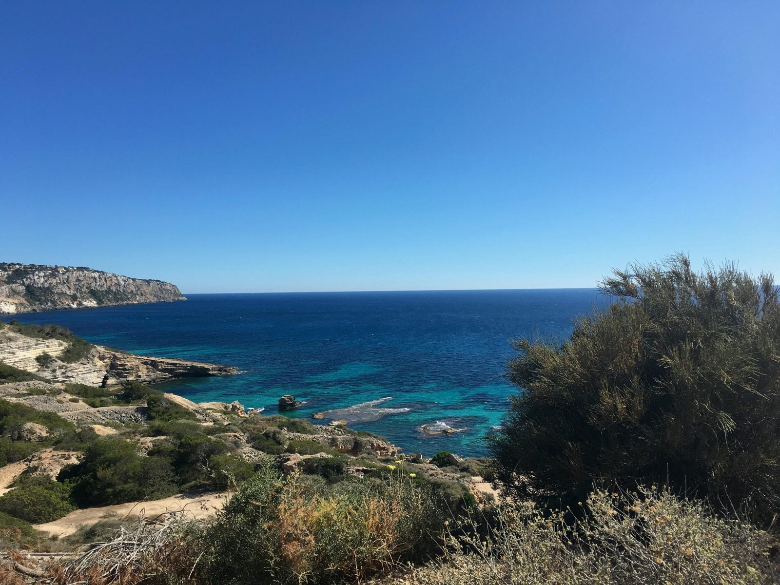 Grüne Wiese nahe dem blauen Meer unter einem blauen Himmel auf Mallorca, fotografiert von Galya Fesenko.