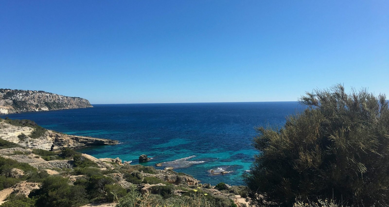 Grüne Grasflächen nahe dem blauen Meer unter einem klaren blauen Himmel auf Mallorca, aufgenommen von Galya Fesenko.