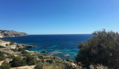 Grünes Gras nahe dem blauen Meer unter einem blauen Himmel auf Mallorca, aufgenommen von Galya Fesenko.