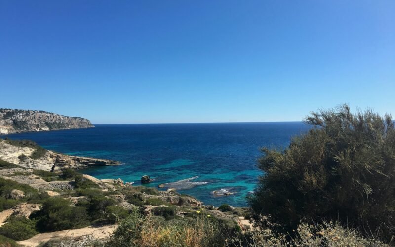 Grünes Gras nahe dem blauen Meer unter einem blauen Himmel auf Mallorca, aufgenommen von Galya Fesenko.