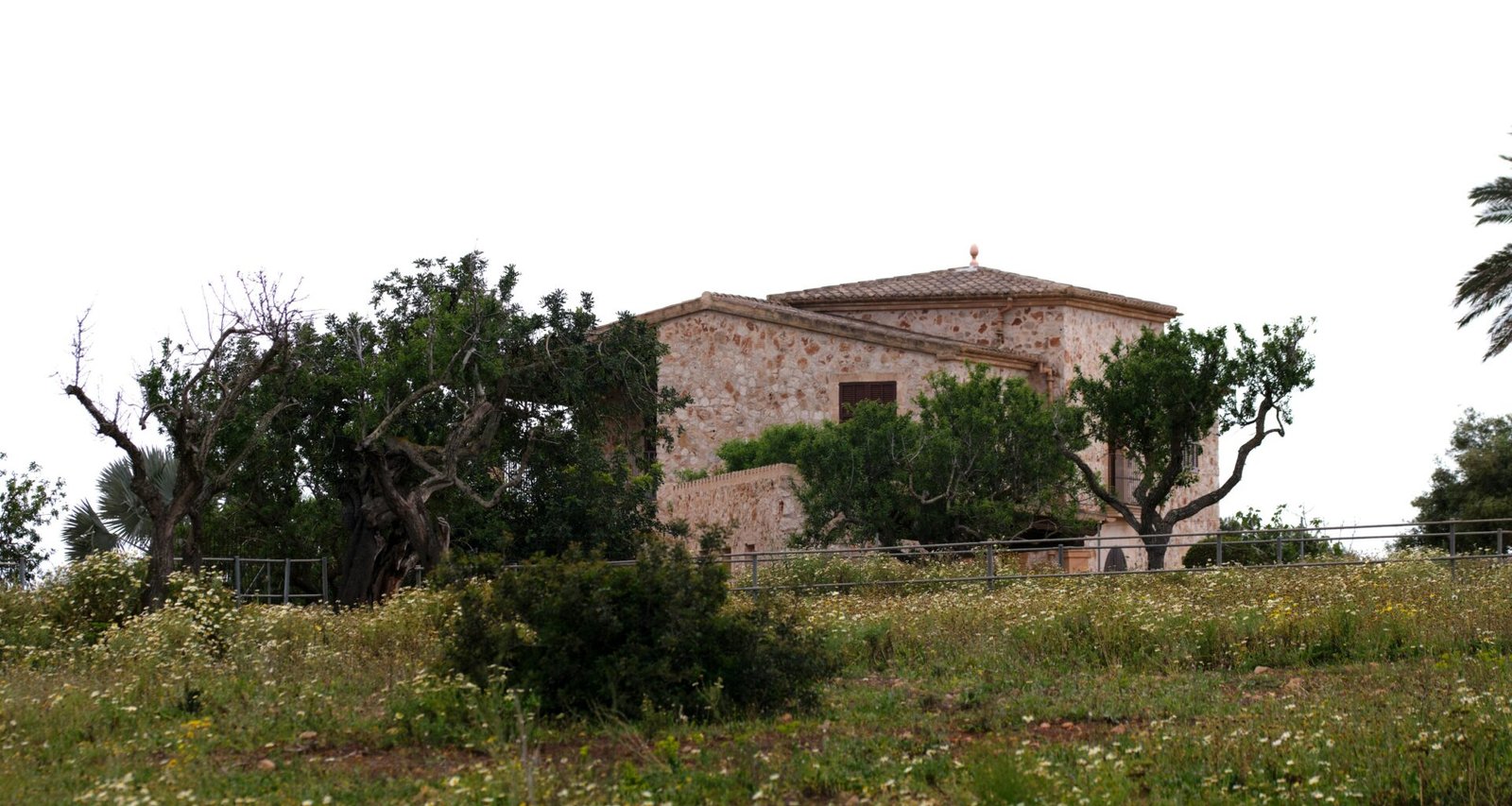 Ein Haus steht umgeben von grünen Bäumen auf Mallorca, fotografiert von Tim Schmidbauer.