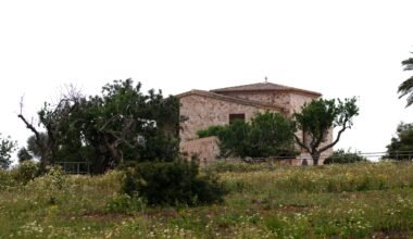 Ein Haus steht umgeben von grünen Bäumen auf Mallorca, fotografiert von Tim Schmidbauer.