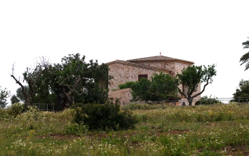 Ein Haus steht umgeben von grünen Bäumen auf Mallorca, fotografiert von Tim Schmidbauer.