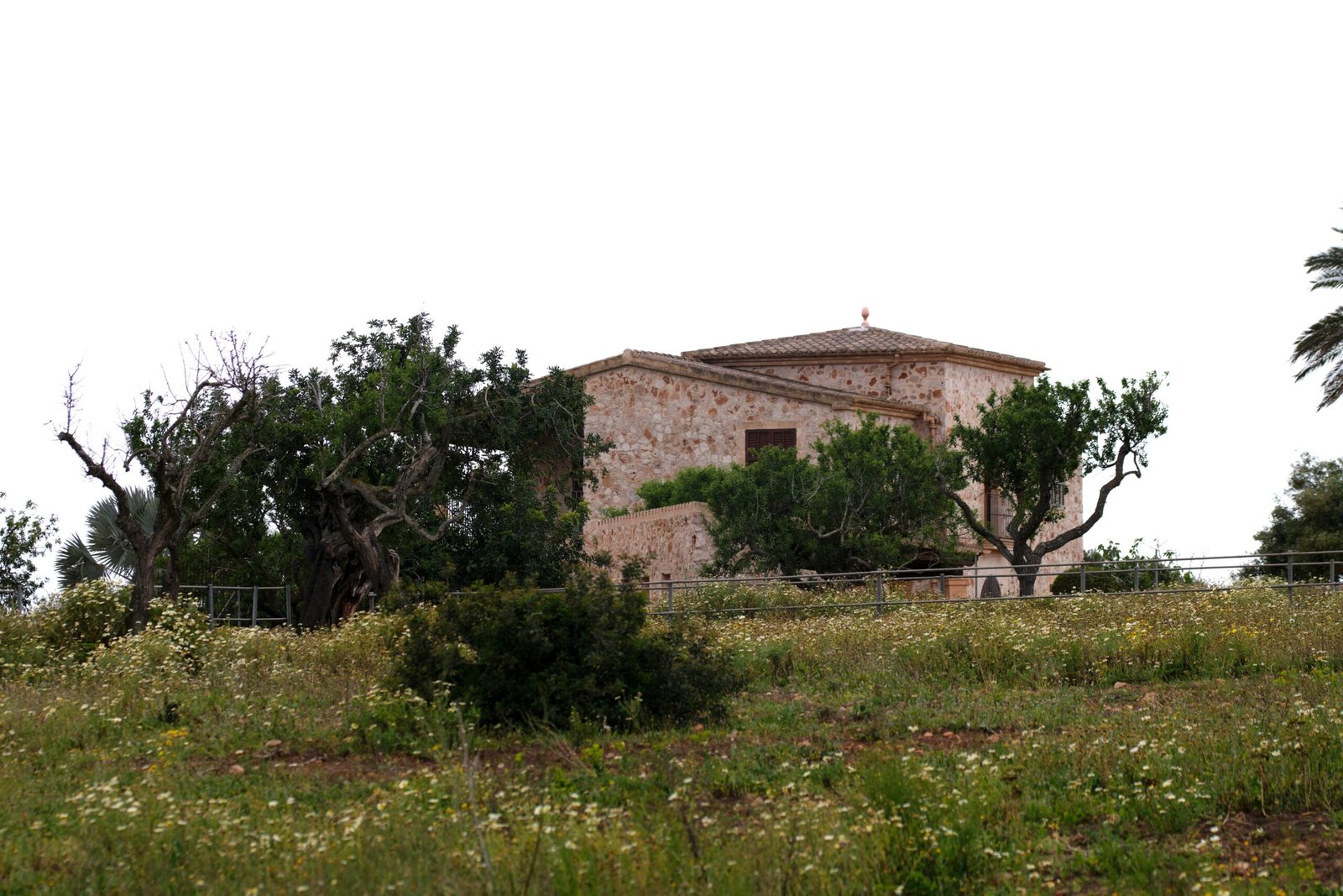 Ein Haus steht umgeben von grünen Bäumen auf Mallorca, fotografiert von Tim Schmidbauer.