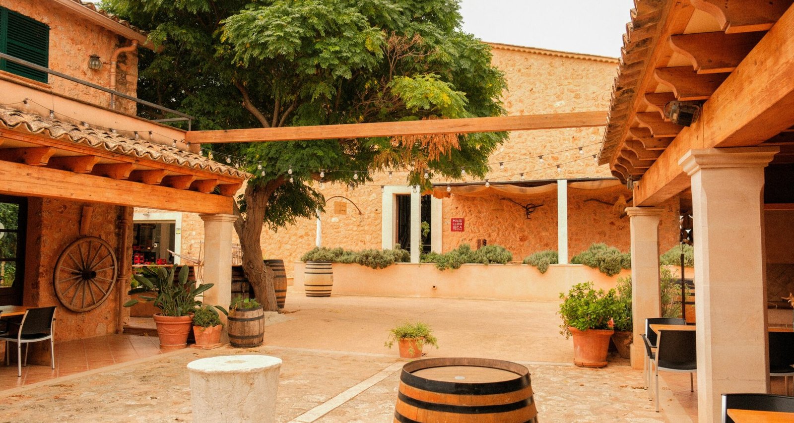 Innenhof auf Mallorca mit einer großen Baum und historischen Gebäuden, fotografiert von Alexis Presa.