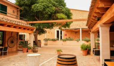 Innenhof auf Mallorca mit einer großen Baum und historischen Gebäuden, fotografiert von Alexis Presa.