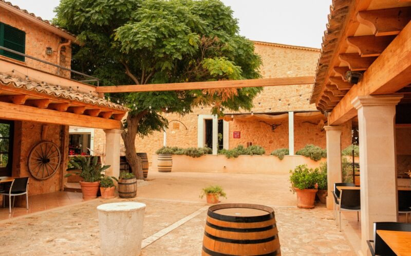 Innenhof auf Mallorca mit einer großen Baum und historischen Gebäuden, fotografiert von Alexis Presa.