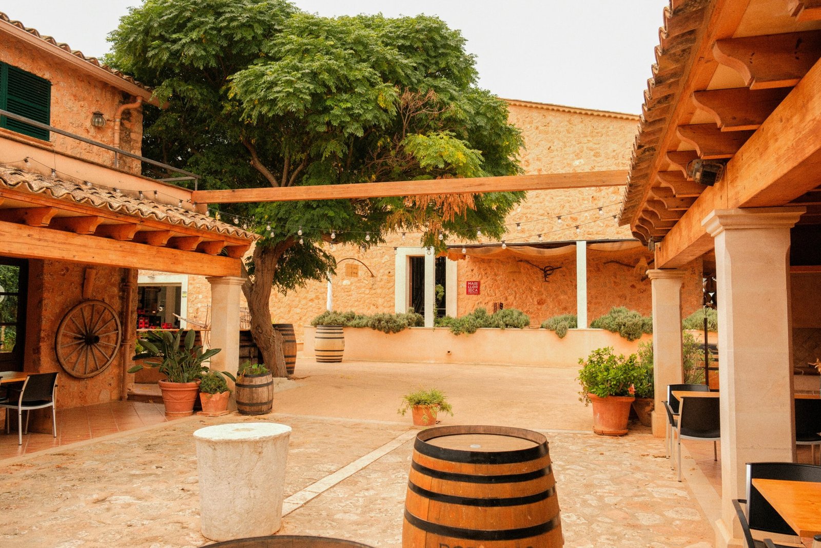 Innenhof auf Mallorca mit einer großen Baum und historischen Gebäuden, fotografiert von Alexis Presa.