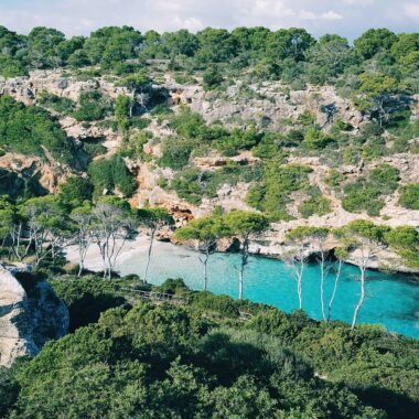Luftaufnahme von Bäumen neben Wasser auf Mallorca, aufgenommen von Reiseuhu