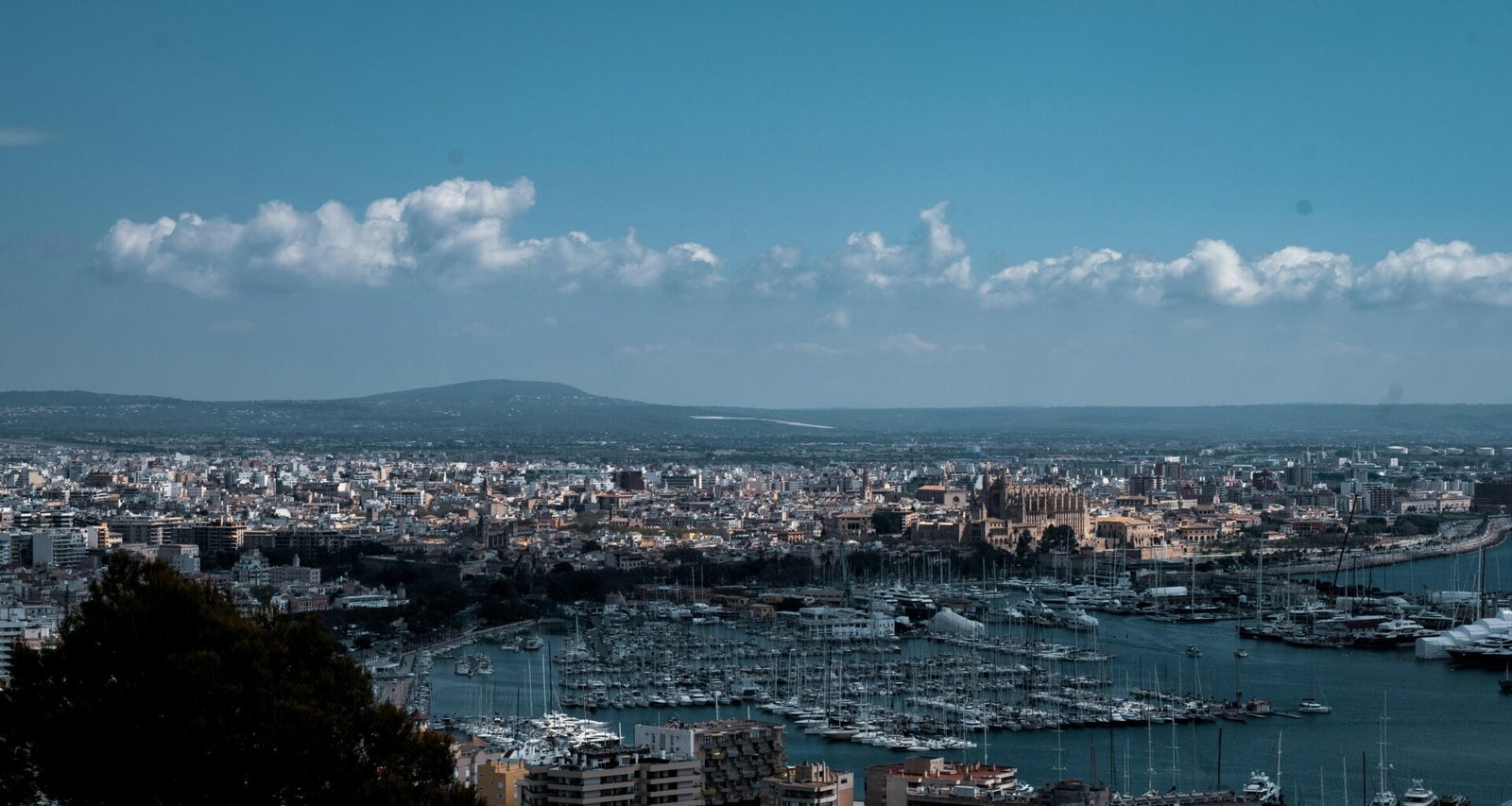 Luftaufnahme von Stadtgebäuden nahe einem Gewässer auf Mallorca bei Tageslicht, aufgenommen von Matt Roskovec.