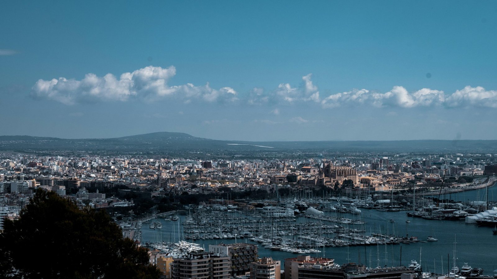 Luftaufnahme von Stadtgebäuden nahe einem Gewässer auf Mallorca bei Tageslicht, aufgenommen von Matt Roskovec.