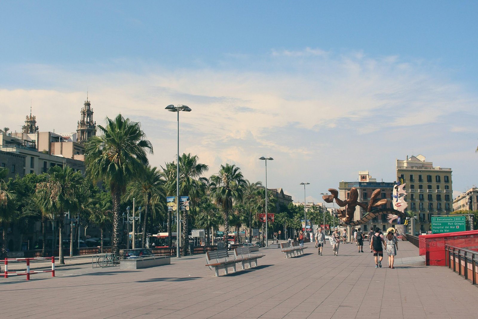Menschen laufen auf Mallorca durch einen Park, umgeben von Bäumen und Grünflächen, aufgenommen von J Shim.