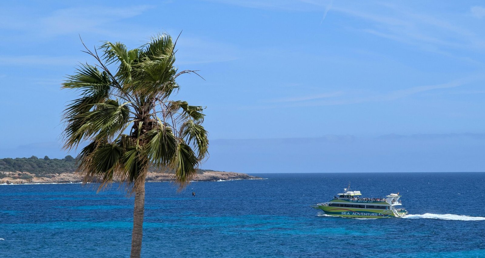 Palme, Boot und blauer Ozean auf Mallorca bei sonnigem Wetter, aufgenommen von David Vives.