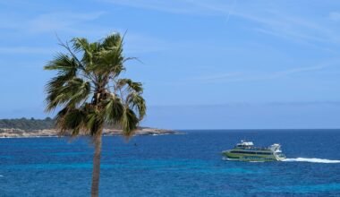 Palme, Boot und blauer Ozean auf Mallorca bei sonnigem Wetter, aufgenommen von David Vives.
