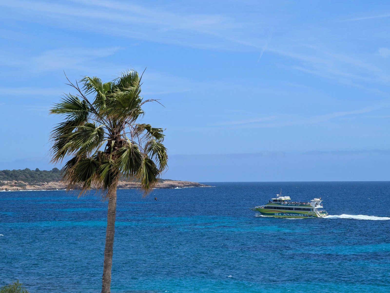 Palme, Boot und blauer Ozean auf Mallorca bei sonnigem Wetter, aufgenommen von David Vives.