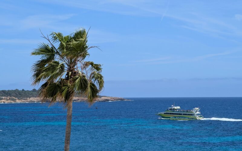 Palme, Boot und blauer Ozean auf Mallorca bei sonnigem Wetter, aufgenommen von David Vives.