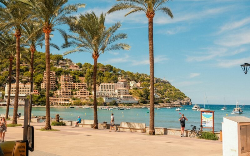 Palmen säumen einen sonnigen Strand auf Mallorca mit Blick auf die Stadt im Hintergrund, aufgenommen von Alexis Presa.