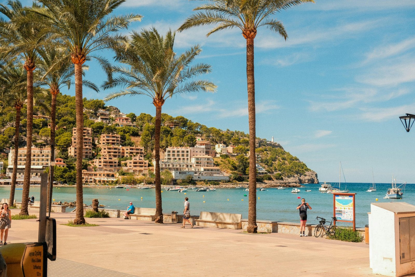 Palmengesträucherter Strand auf Mallorca bei Sonnenschein mit Stadt im Hintergrund, aufgenommen von Alexis Presa