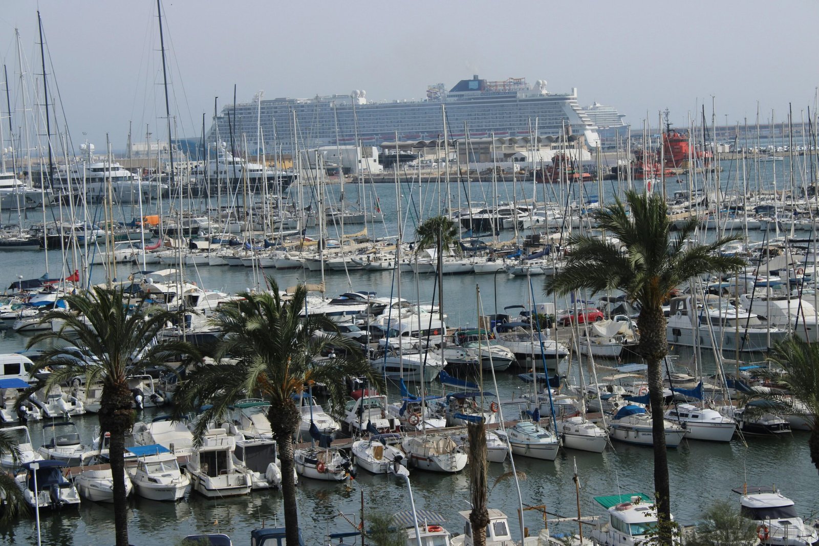 Palmen am Hafen auf Mallorca mit Segelbooten und einem Schiff im Hintergrund, aufgenommen von Susana Bartolome.