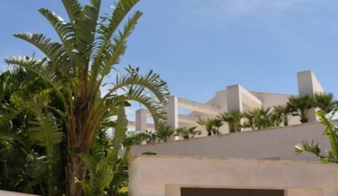 Palmen und ein weißes Gebäude auf Mallorca unter einem blauen Himmel, fotografiert von Tim Schmidbauer.