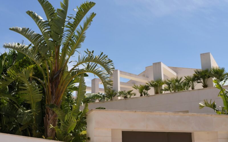 Palmen und ein weißes Gebäude auf Mallorca unter einem blauen Himmel, fotografiert von Tim Schmidbauer.