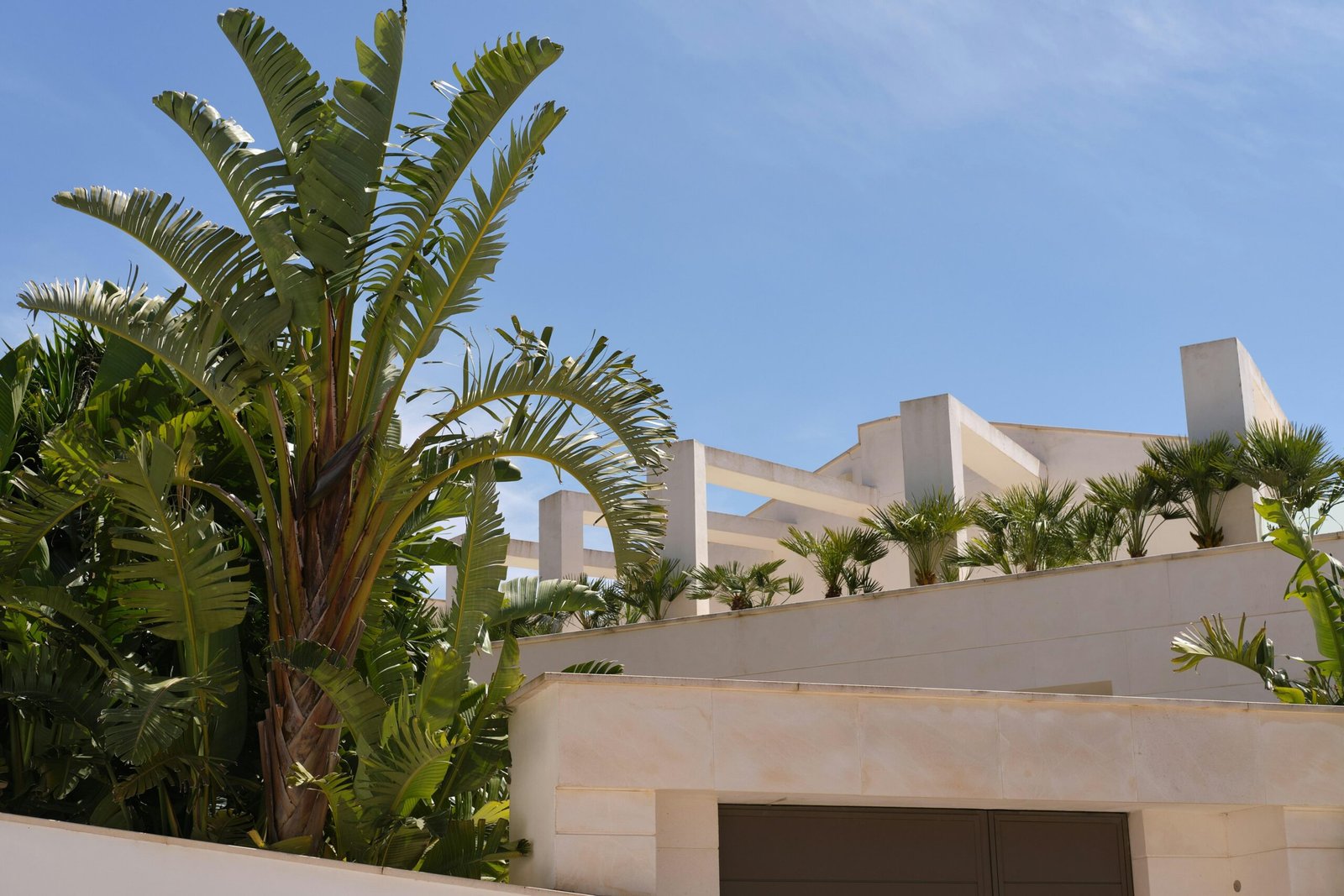 Palmen und ein weißes Gebäude auf Mallorca unter einem blauen Himmel, fotografiert von Tim Schmidbauer.