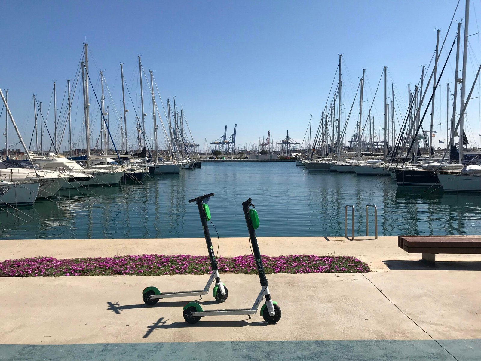 Schwarzer und grüner Tretroller neben Wasser auf Mallorca, aufgenommen von Lyle Hastie