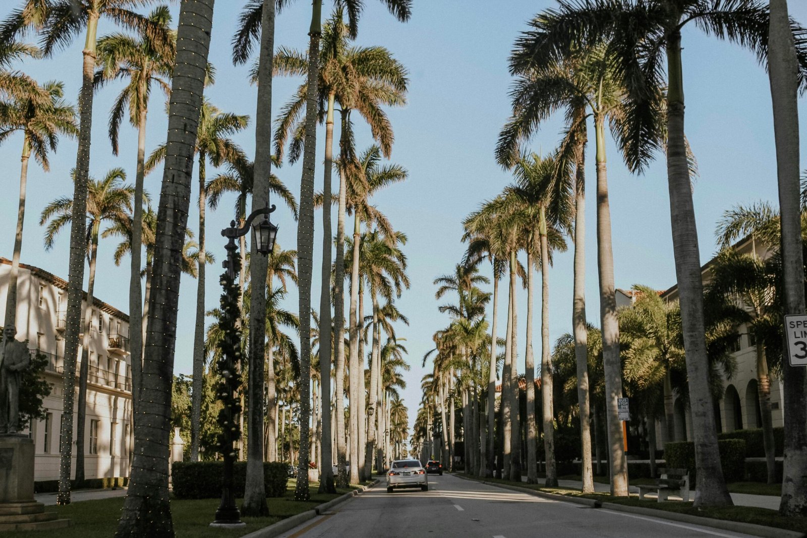 Schwarzes Auto fährt auf Mallorca zwischen Palmen entlang bei Tageslicht, aufgenommen von Tessa Edmiston.
