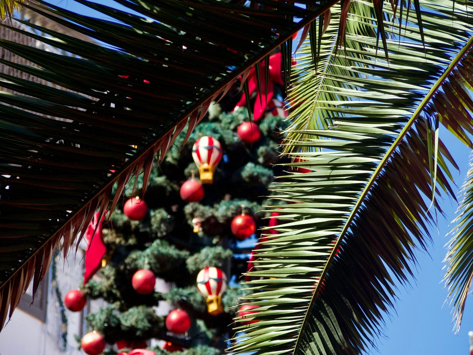 Weihnachtsbaum mit Ornamenten und Heißluftballons über Mallorca bei Denis Denis