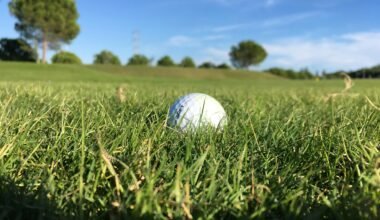 Weißer Golfball liegt auf einem saftig grünen Rasen auf Mallorca, fotografiert von George Bougakov.