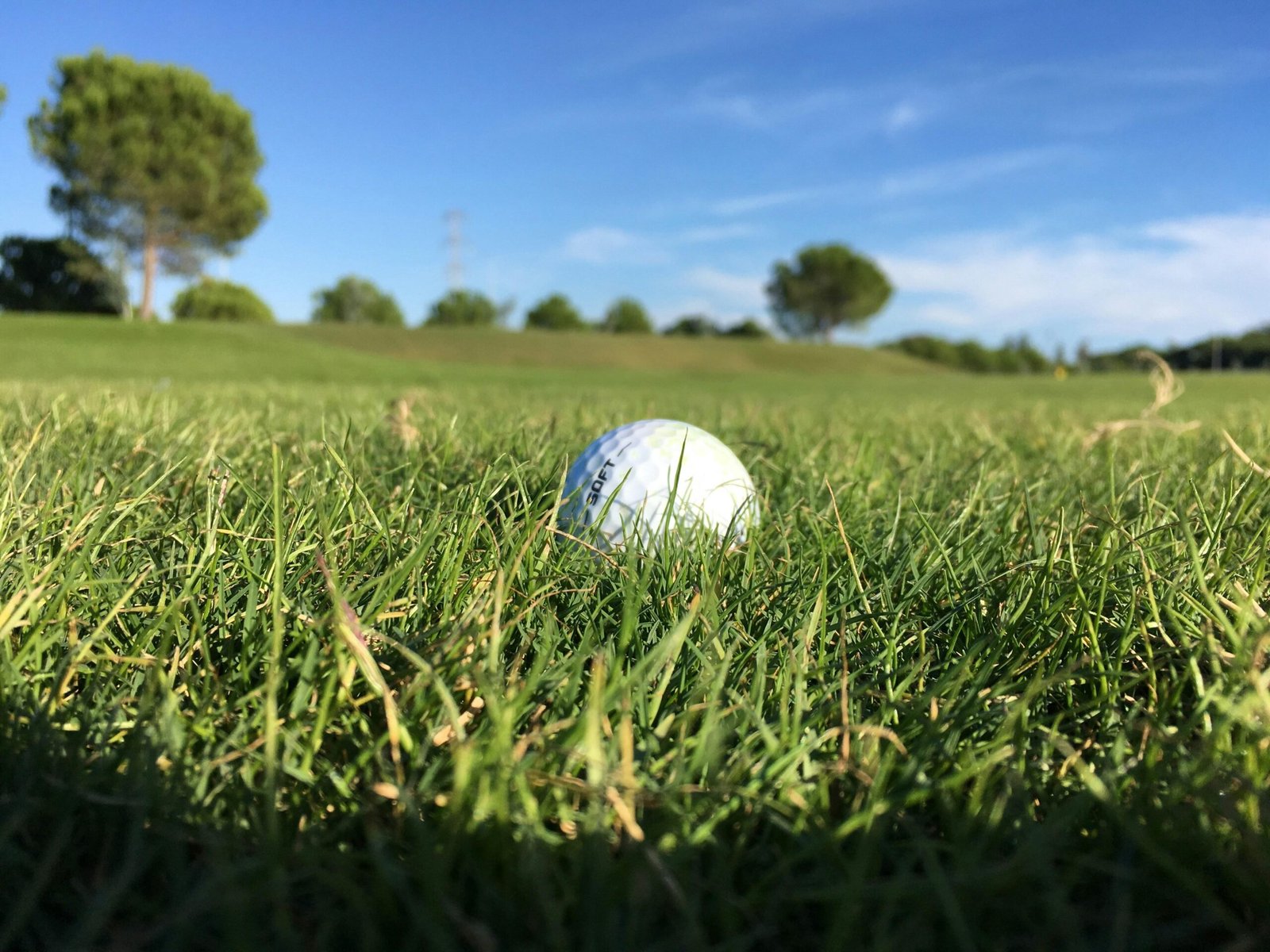 Weißer Golfball liegt auf einem saftig grünen Rasen auf Mallorca, fotografiert von George Bougakov.