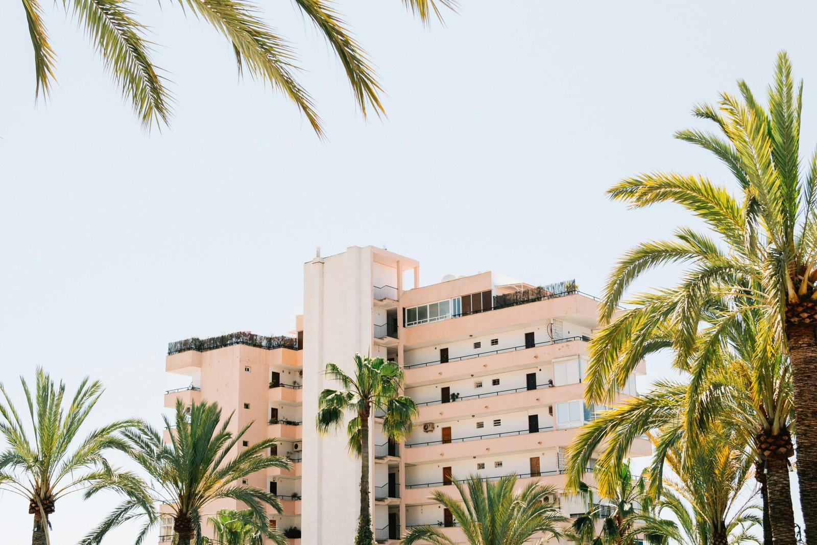 Weiße Betongebäude neben einer grünen Palme unter weißem Himmel auf Mallorca, aufgenommen von Shane Hauser