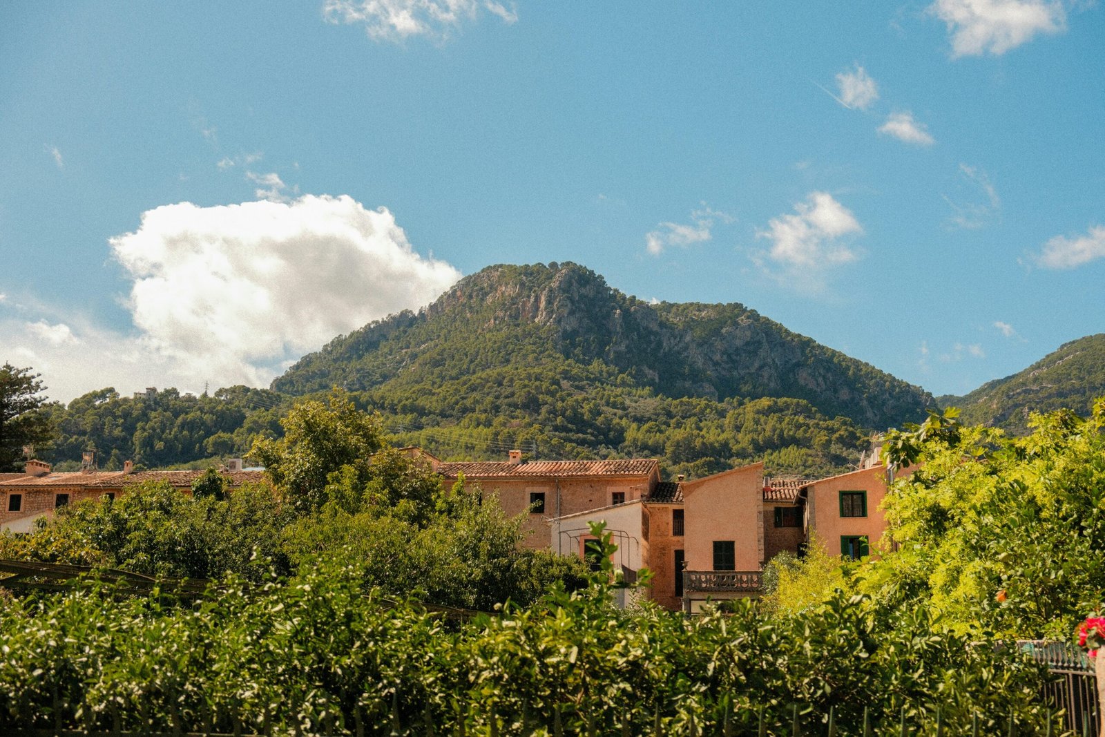 Bergdorf auf Mallorca mit grünen Bäumen und Weinbergen, aufgenommen von Alexis Presa