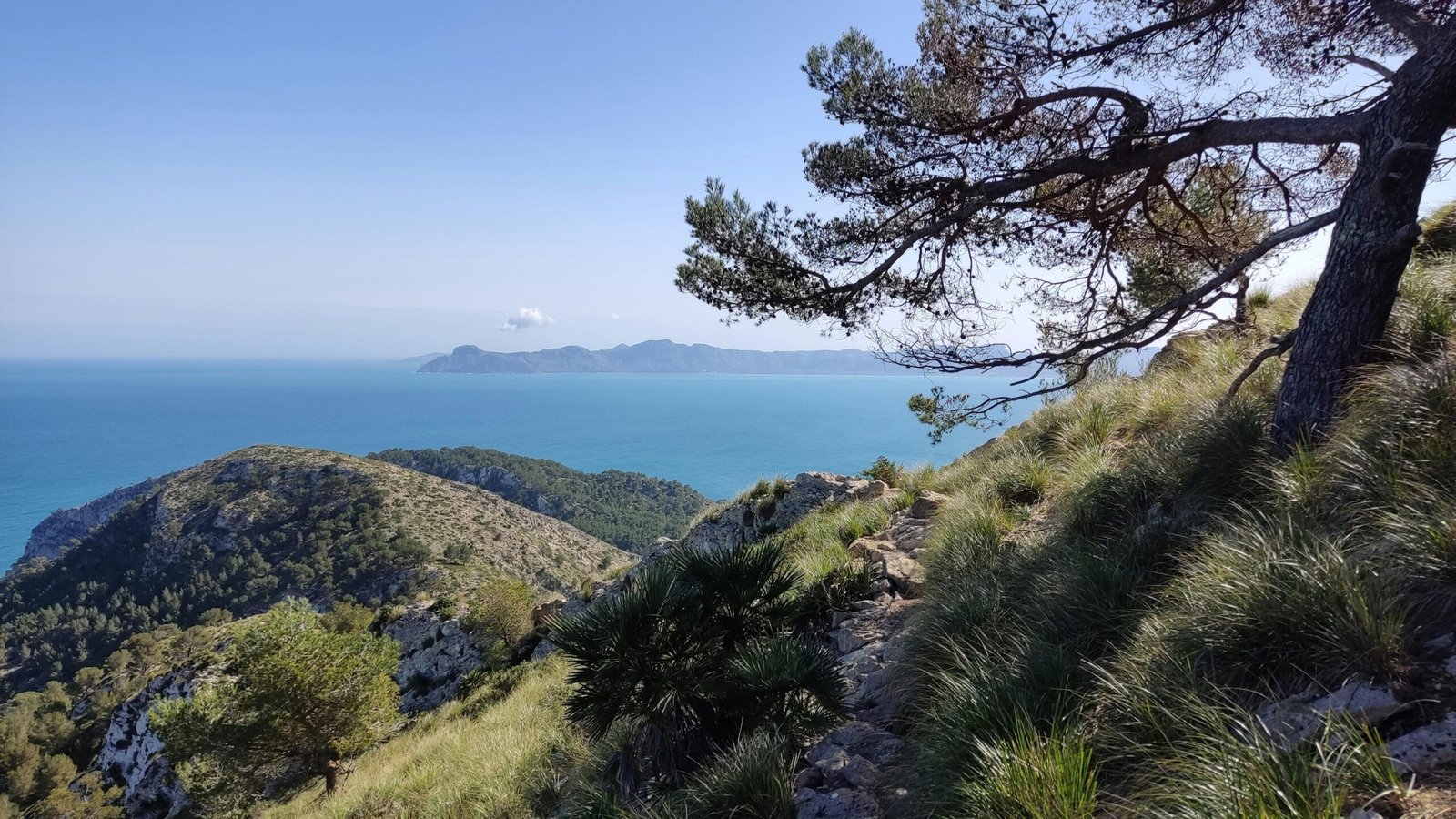 Blick vom Hügel auf Mallorca auf das Meer und die Küstenlinie, aufgenommen von Muzykalne Podróże