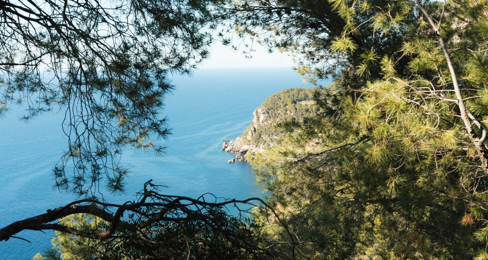 Küstenansicht auf Mallorca, umgeben von Bäumen, mit Blick auf das Meer und die felsige Küste