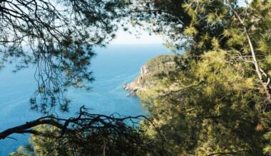 Küstenansicht auf Mallorca, umgeben von Bäumen, mit Blick auf das Meer und die felsige Küste