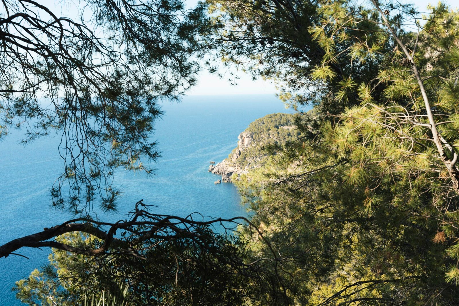Küstenansicht auf Mallorca, umgeben von Bäumen, mit Blick auf das Meer und die felsige Küste