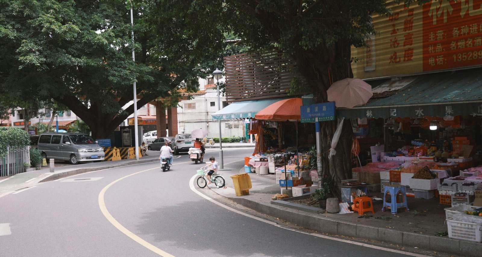 Straße auf Mallorca, die an einem Markt mit Bäumen vorbeiführt, aufgenommen von Lee Tianxian