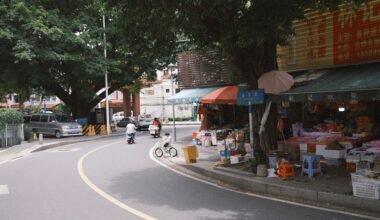 Straße auf Mallorca, die an einem Markt mit Bäumen vorbeiführt, aufgenommen von Lee Tianxian
