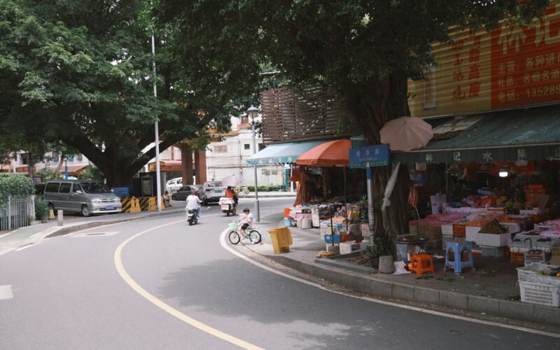 Straße auf Mallorca, die an einem Markt mit Bäumen vorbeiführt, aufgenommen von Lee Tianxian